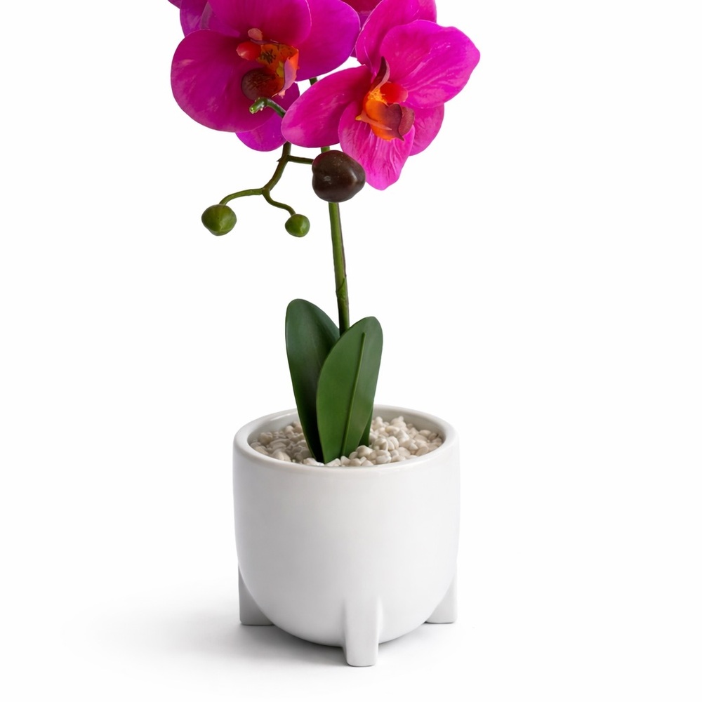 Elegant Pink Orchid in White Planter